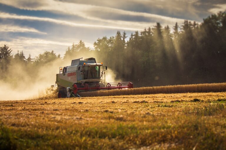 Restrukturyzacja gospodarstwa rolnego